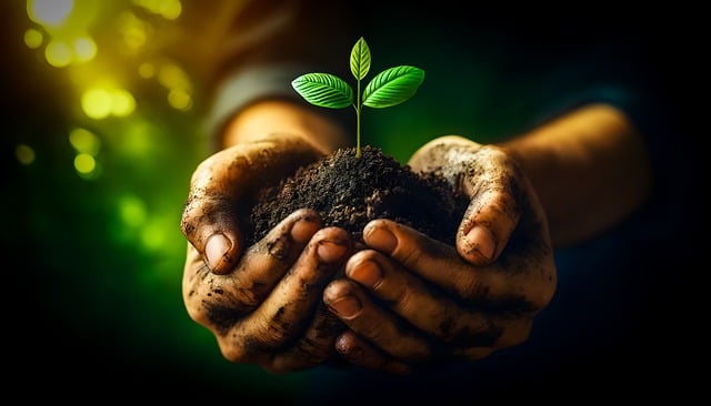 Agriculture